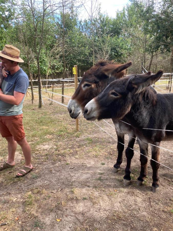 The Llama Farm France Saint-Cyr-Les-Champagnes 외부 사진