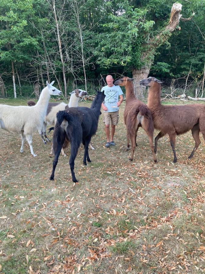 The Llama Farm France Saint-Cyr-Les-Champagnes 외부 사진