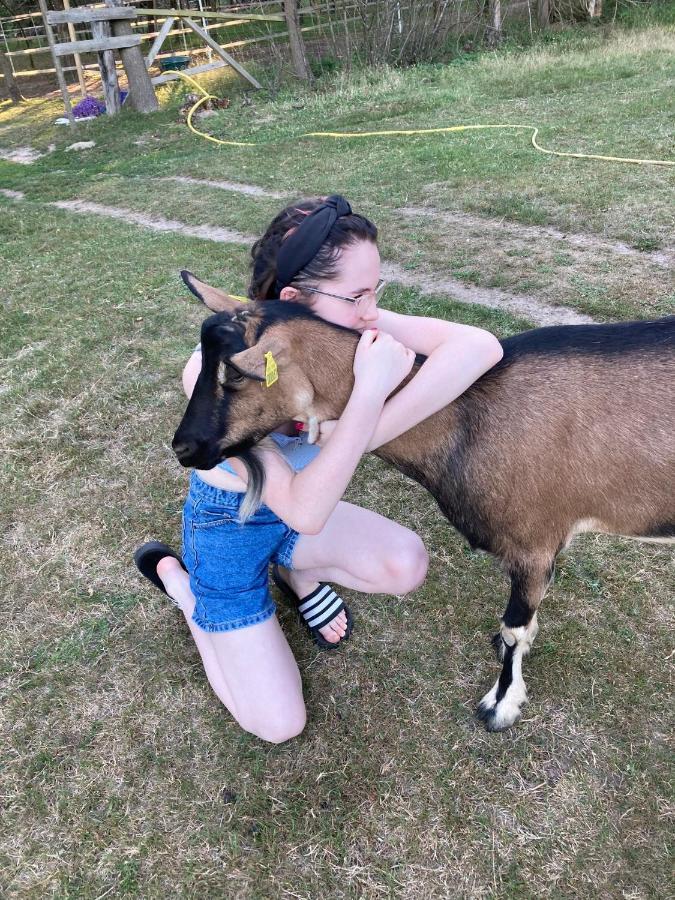 The Llama Farm France Saint-Cyr-Les-Champagnes 외부 사진