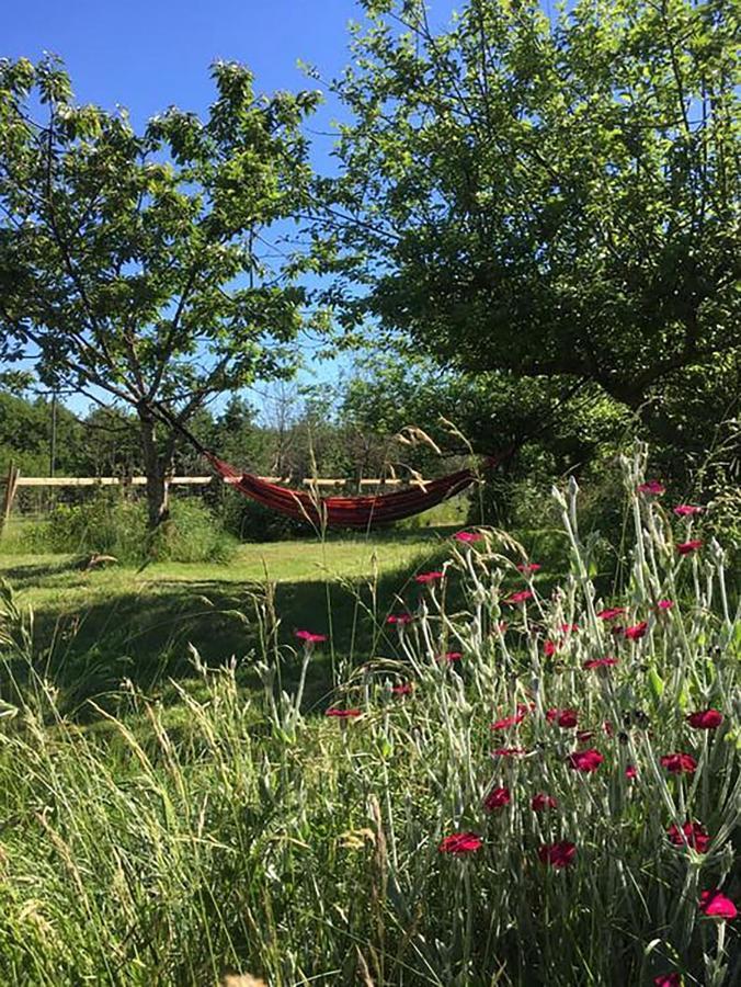 The Llama Farm France Saint-Cyr-Les-Champagnes 외부 사진