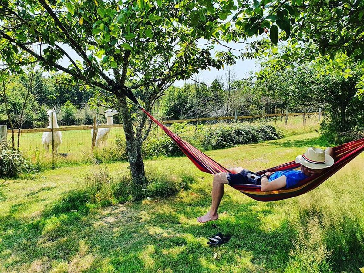 The Llama Farm France Saint-Cyr-Les-Champagnes 외부 사진
