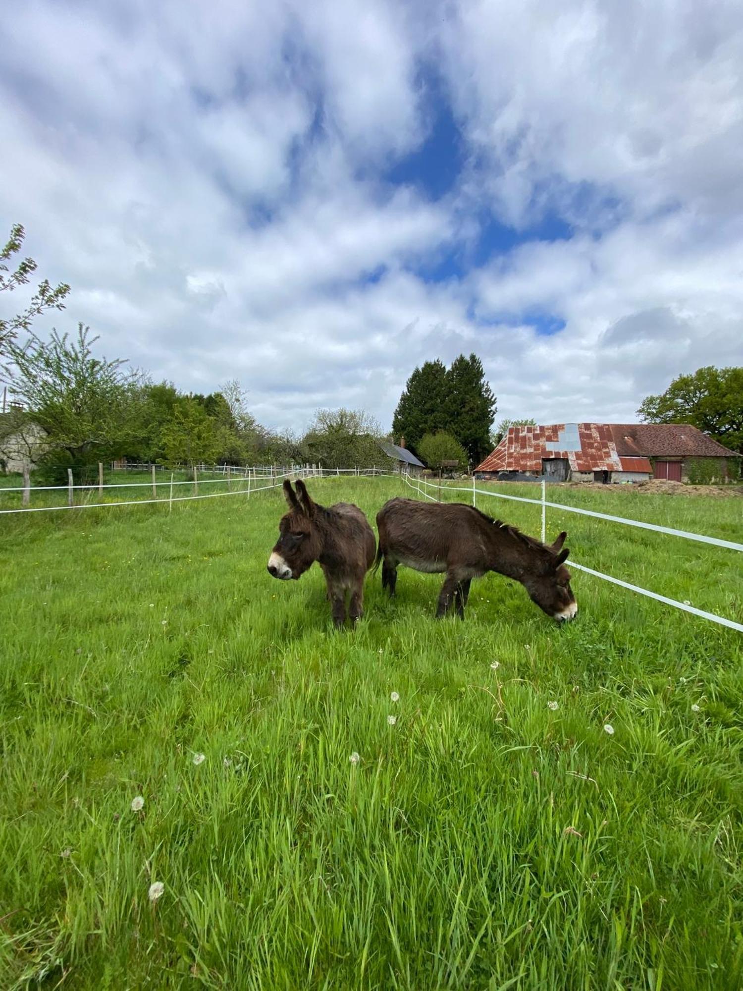 The Llama Farm France Saint-Cyr-Les-Champagnes 외부 사진