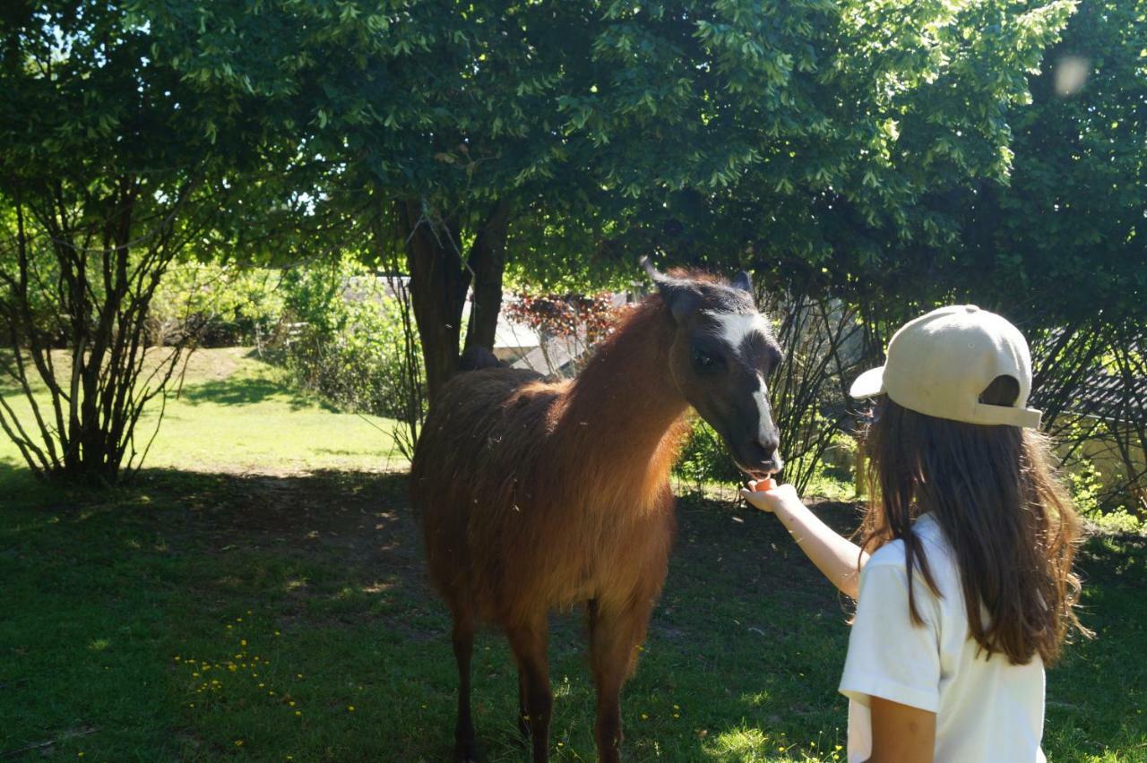 The Llama Farm France Saint-Cyr-Les-Champagnes 외부 사진