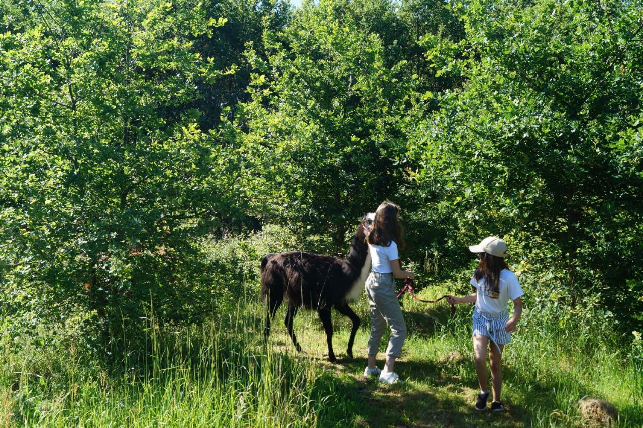 The Llama Farm France Saint-Cyr-Les-Champagnes 외부 사진