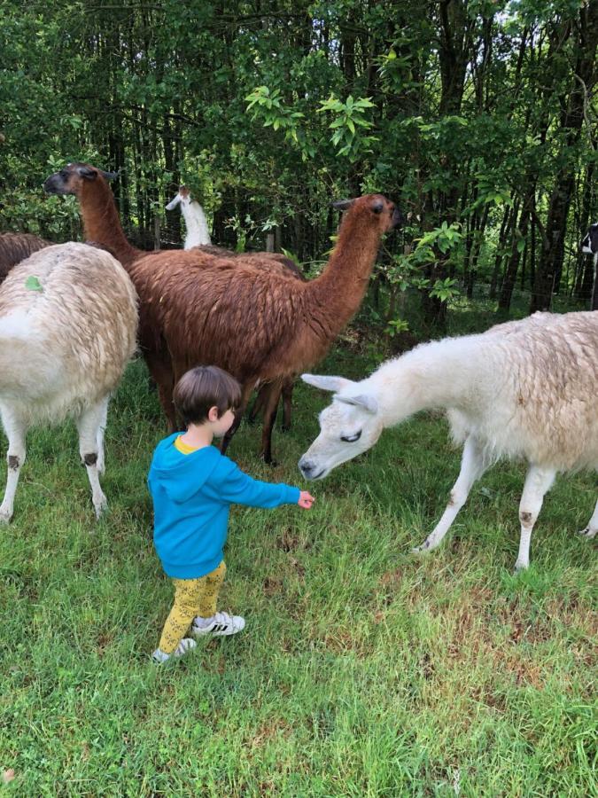 The Llama Farm France Saint-Cyr-Les-Champagnes 외부 사진