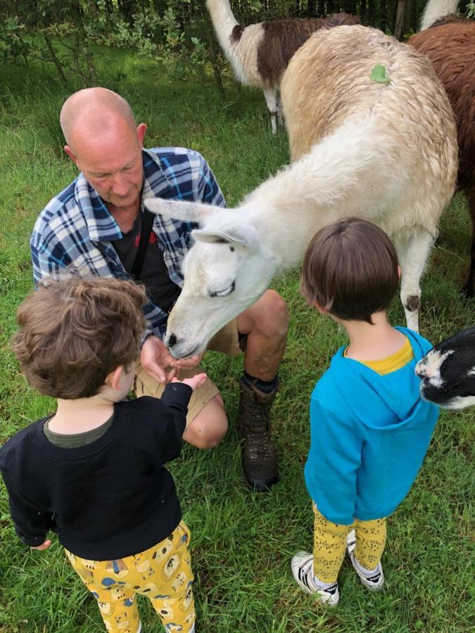 The Llama Farm France Saint-Cyr-Les-Champagnes 외부 사진